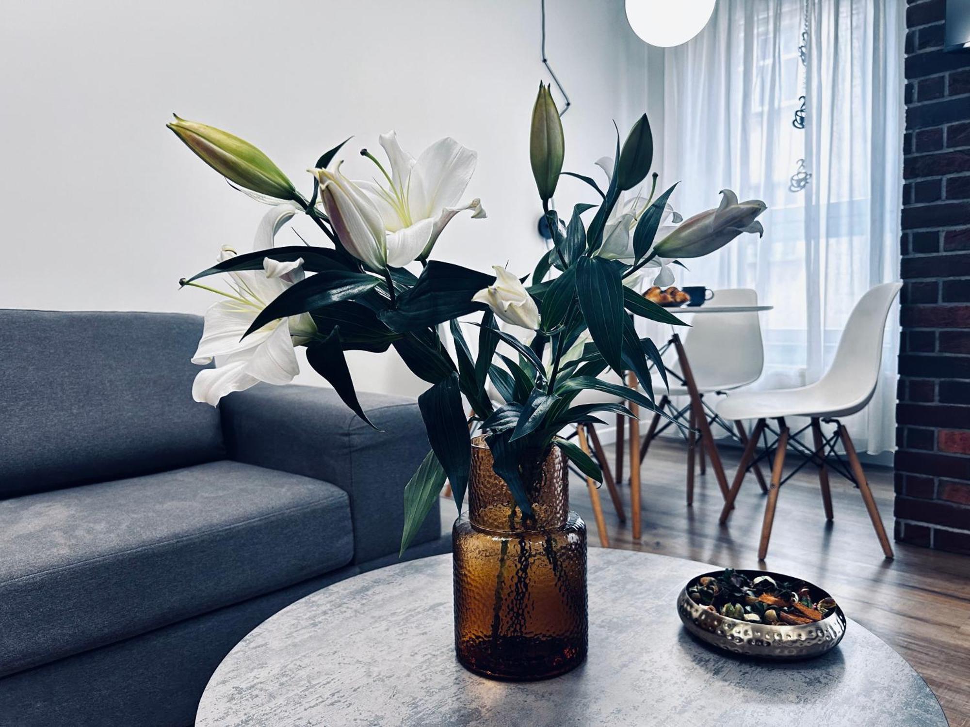 Apartment Rydygiera14 Wroclaw
